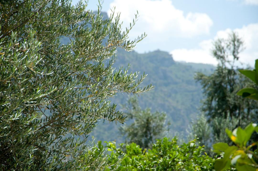 Photo of Outdoor in Diakofto