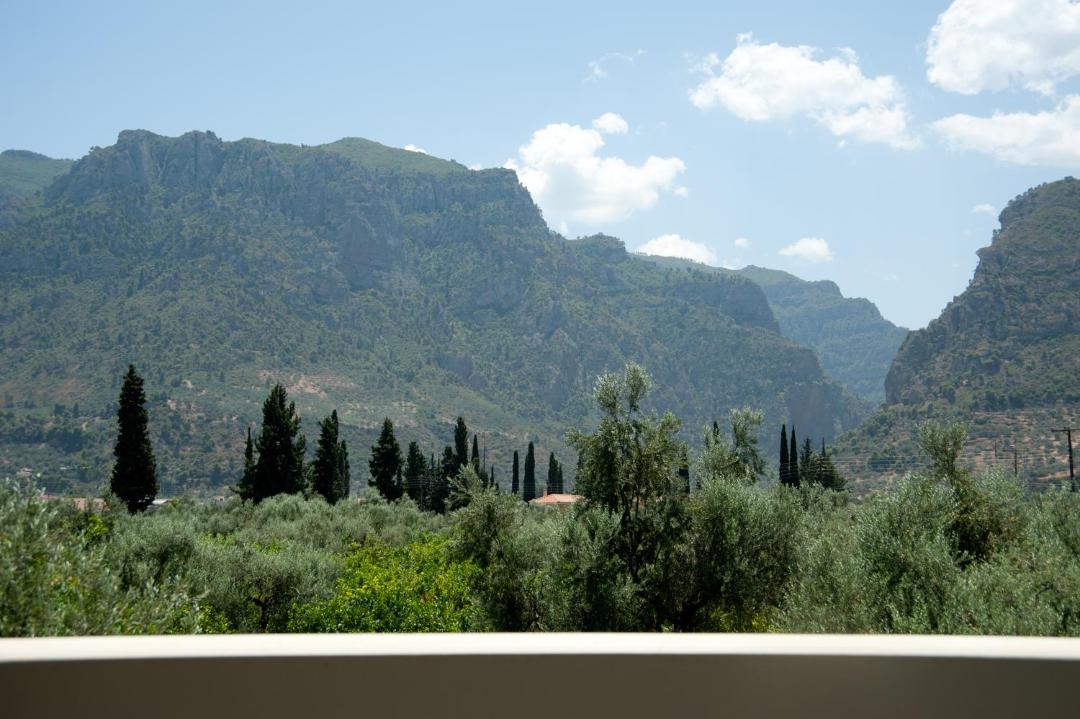 Photo of Others in Diakofto