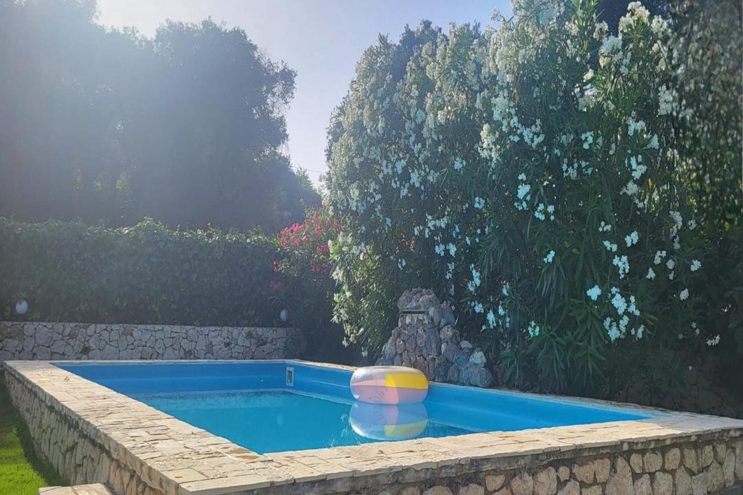 Photo of Others in Afionas