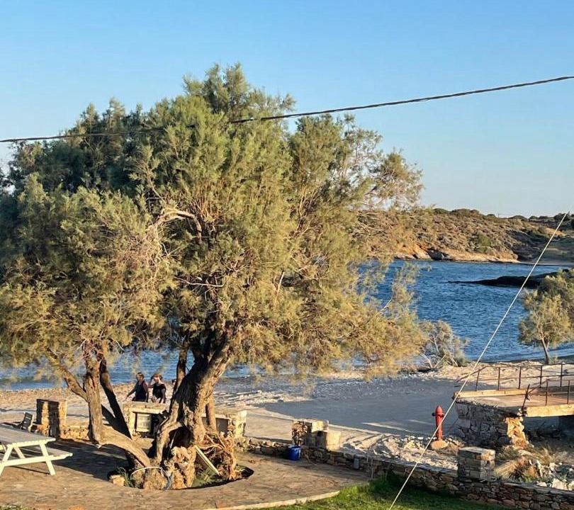 Photo of Others in Moutsouna