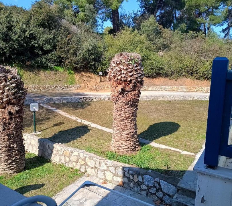 Photo of Others in Pefkochori