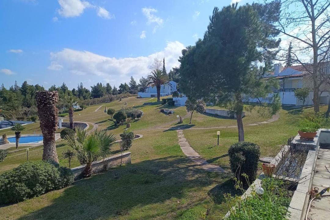 Photo of Others in Pefkochori