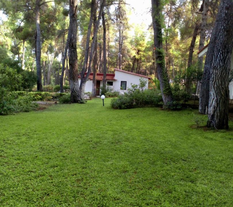 Photo of Outdoor in Sane