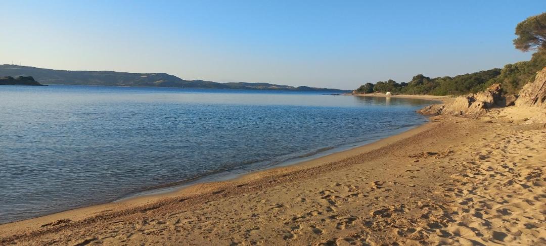 Photo of Others in Aristotelis