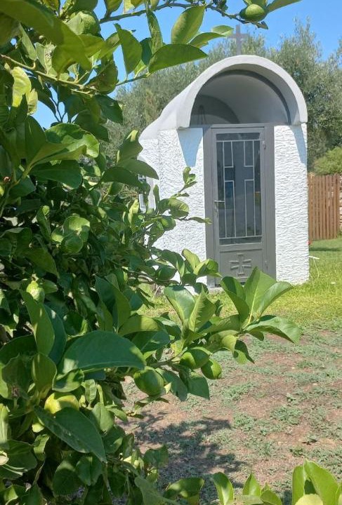 Photo of Others in Aristotelis