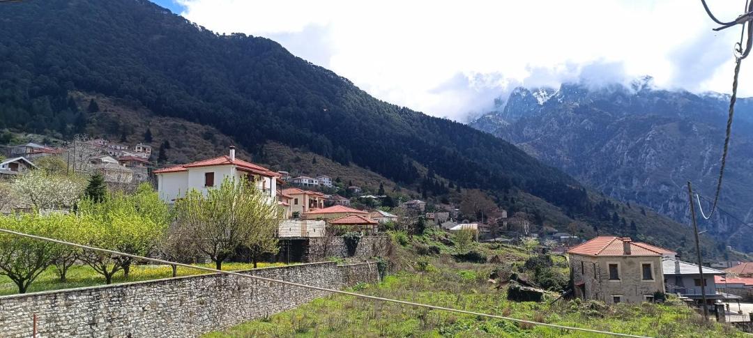Photo of Others in Konitsa