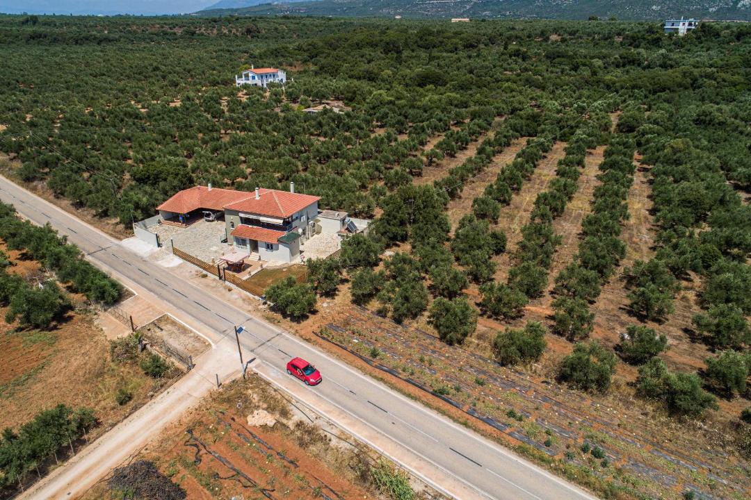 Photo of Others in Agrilos