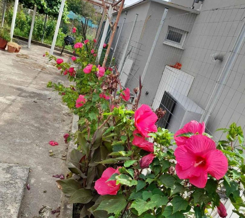 Photo of Outdoor in Dhikella