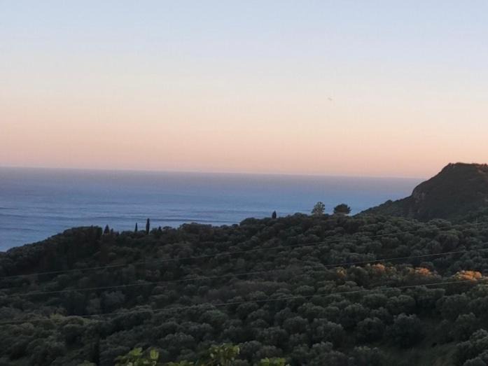Photo of Others in Afionas