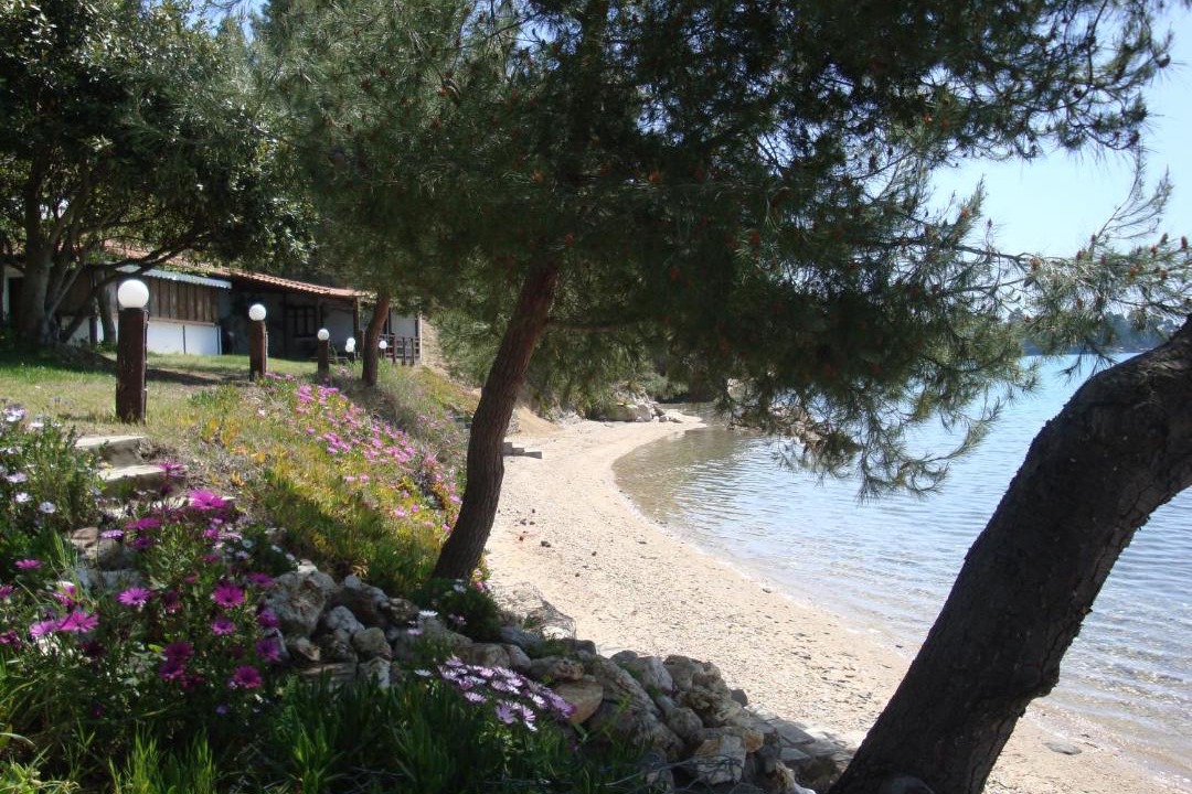 Photo of Others in Paradhisos