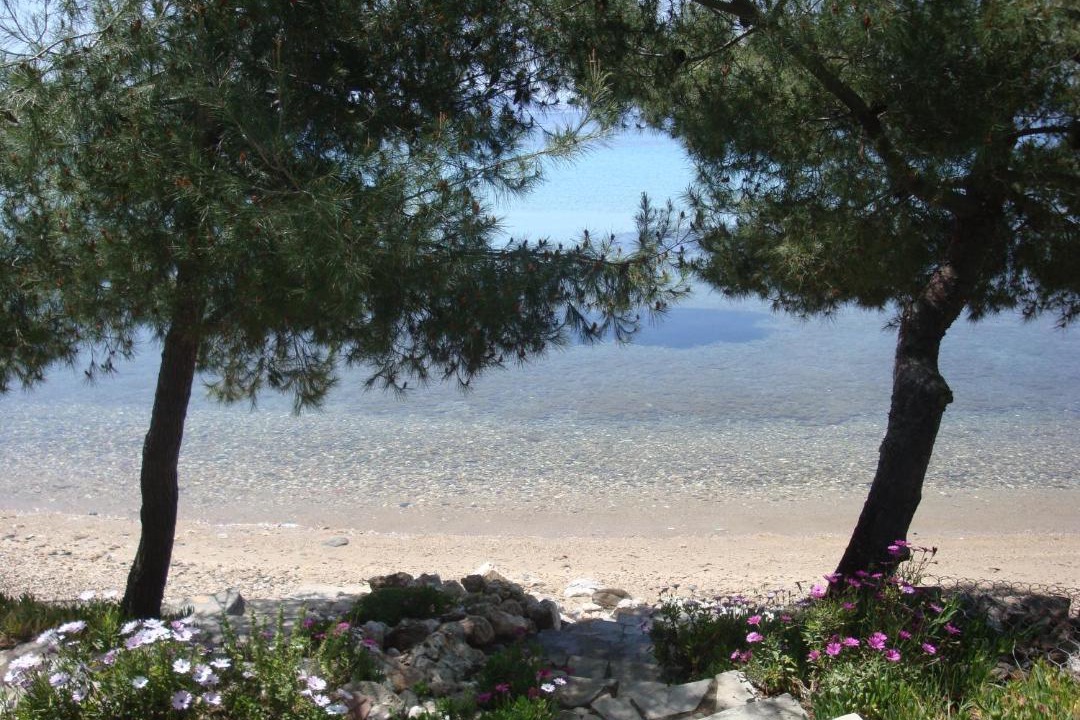 Photo of Others in Paradhisos