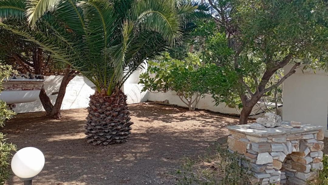 Photo of Others in Agios Ioannis