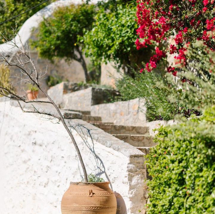 Photo of Others in Hydra