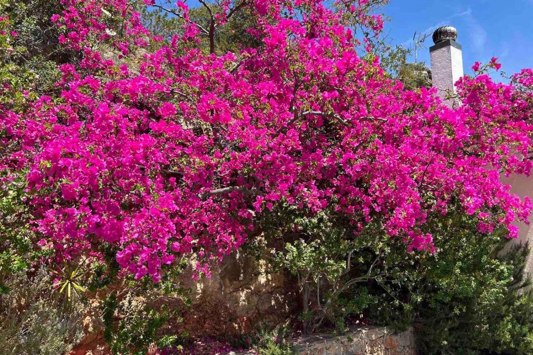 Photo of Others in Agios Nikolaos Town
