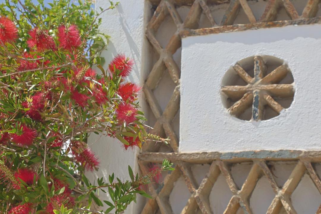 Photo of Others in Tinos