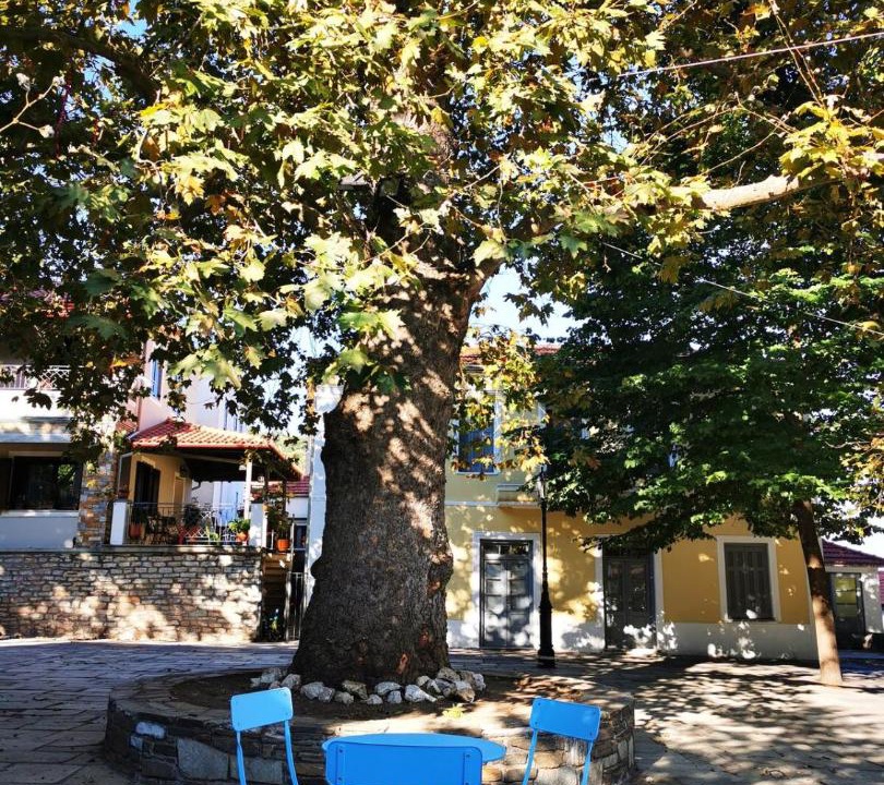 Photo of Others in Kali Vrysi