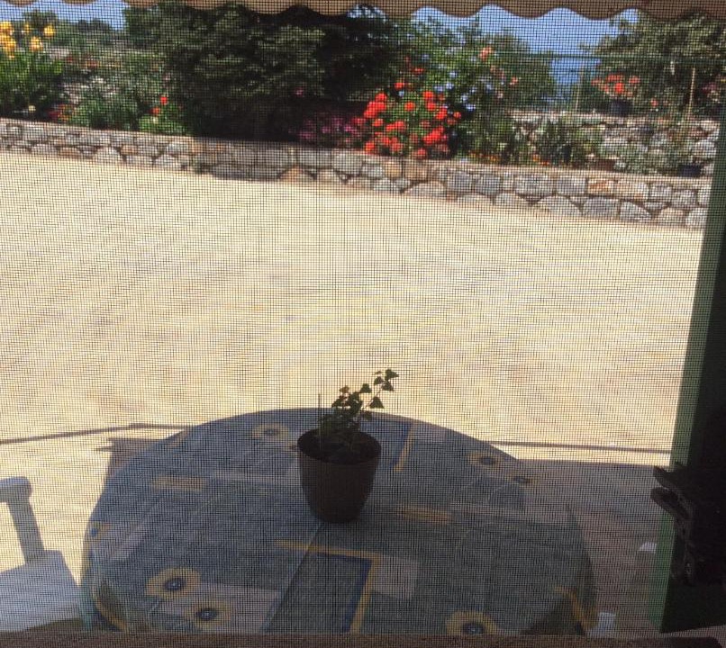 Photo of Patio Balcony in Omales