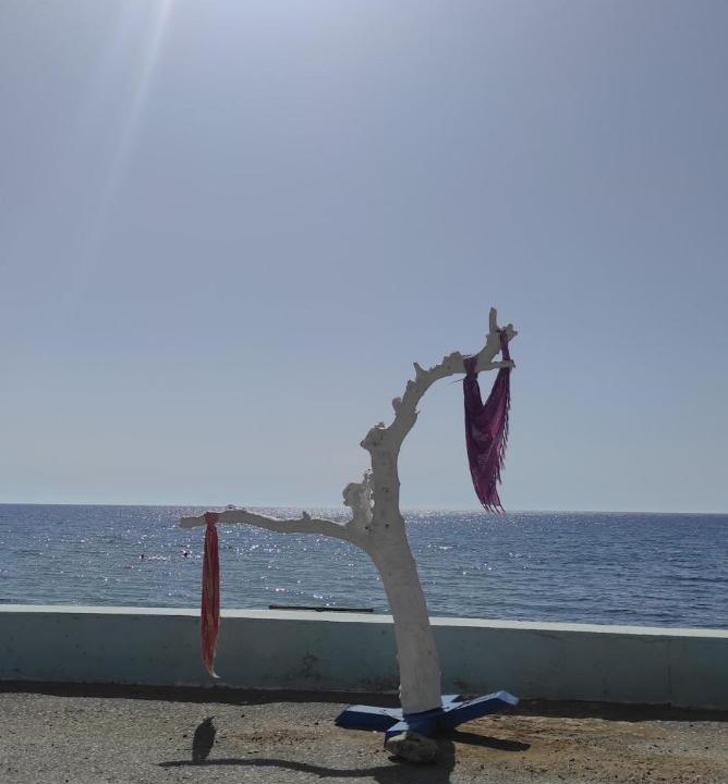 Photo of Others in Minoa Pediada