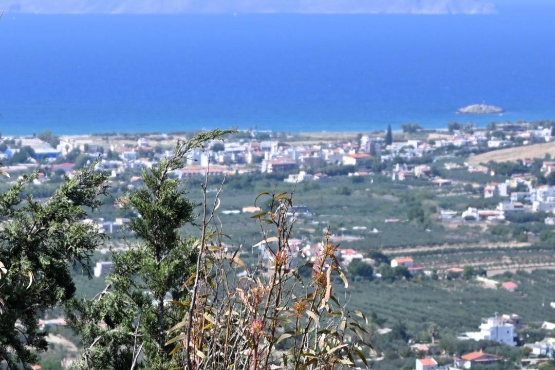 Photo of Others in Heraklion