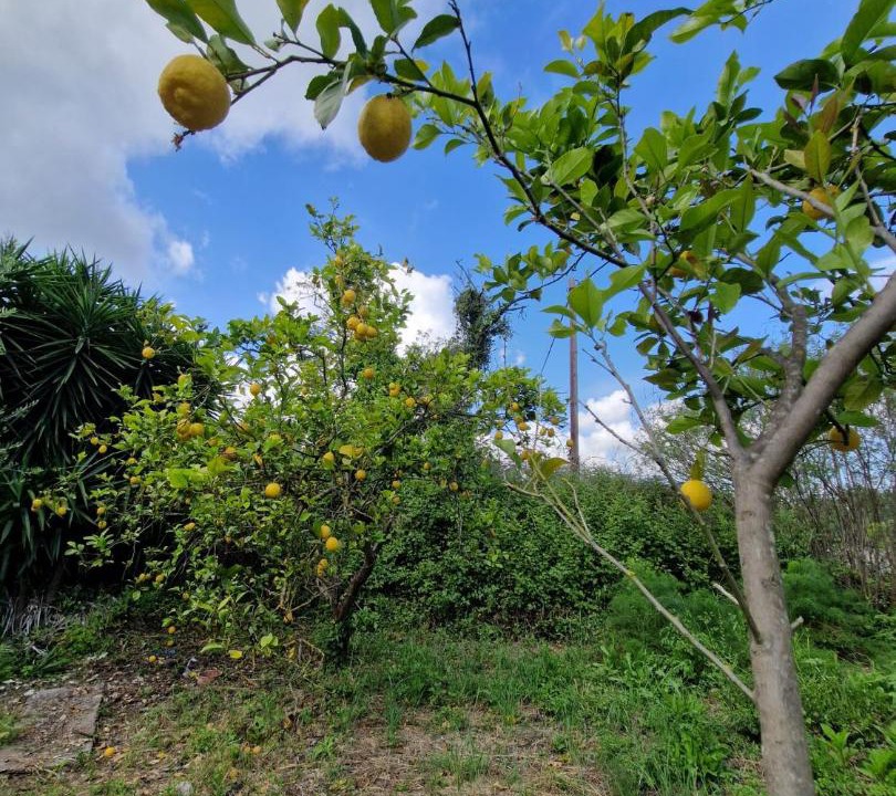 Photo of Outdoor in Armenoi
