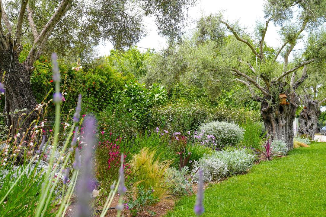 Photo of Outdoor in Lefkada Town