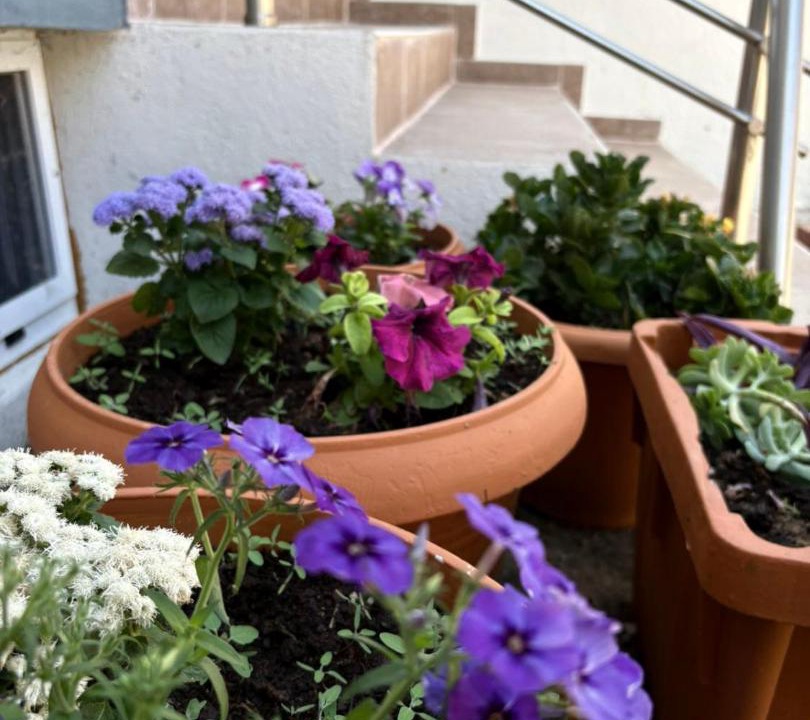 Photo of Patio Balcony in Fanari