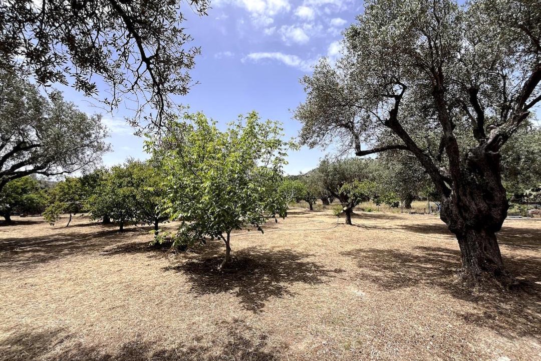 Photo of Others in Archangelos