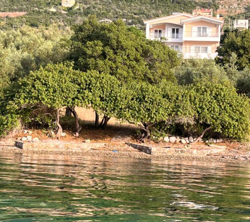 Photo of Others in Skroponeria