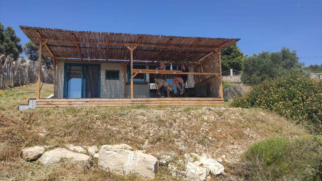 Photo of Others in Pitsidia