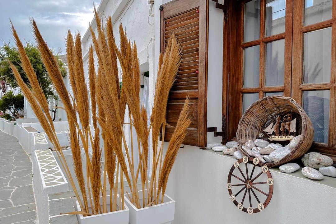 Photo of Others in Folegandros Town