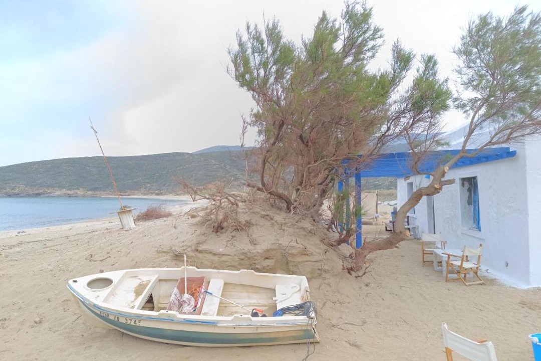 Photo of Others in Andros