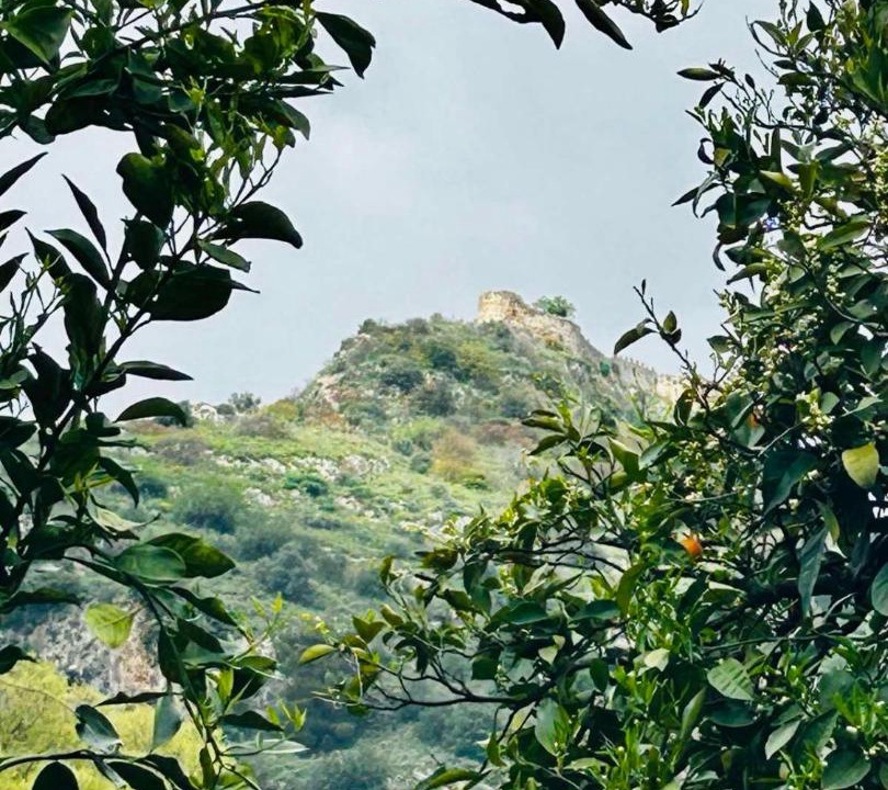 Photo of Others in Mystras