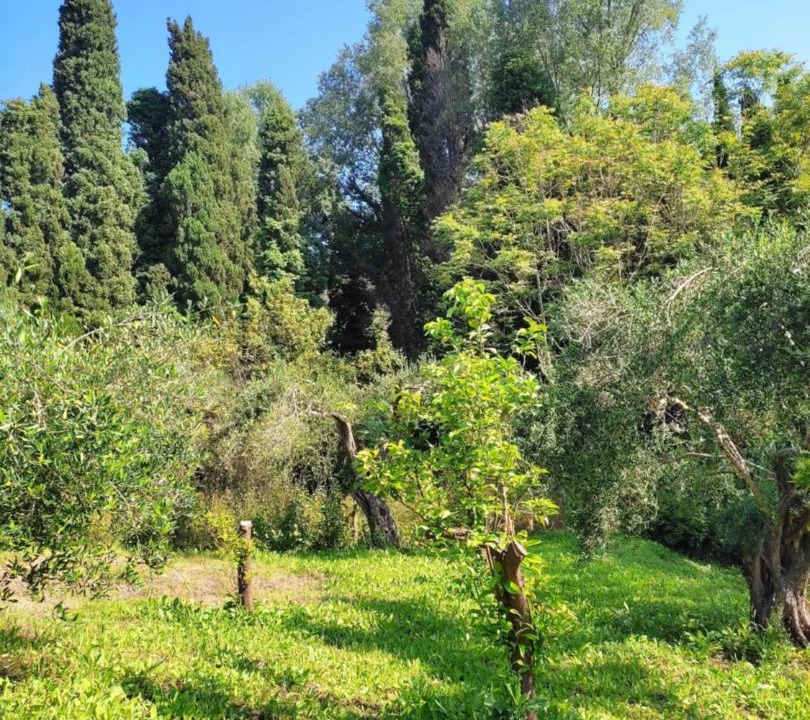 Photo of Others in Velonades