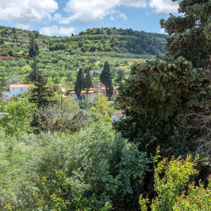 Photo of Others in Kotsiana