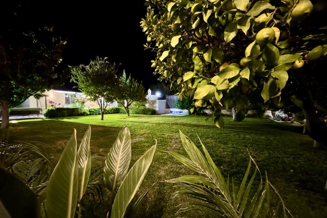 Photo of Others in Archangelos