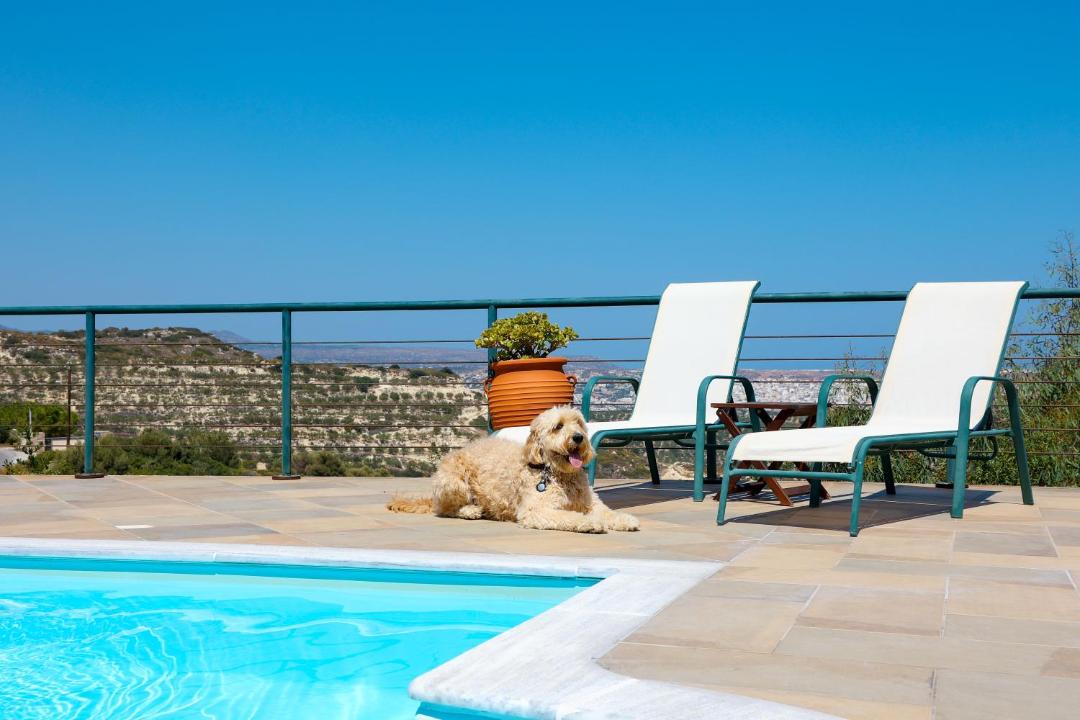 Photo of Others in Sitia