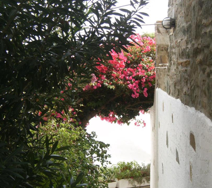 Photo of Others in Agios Sostis