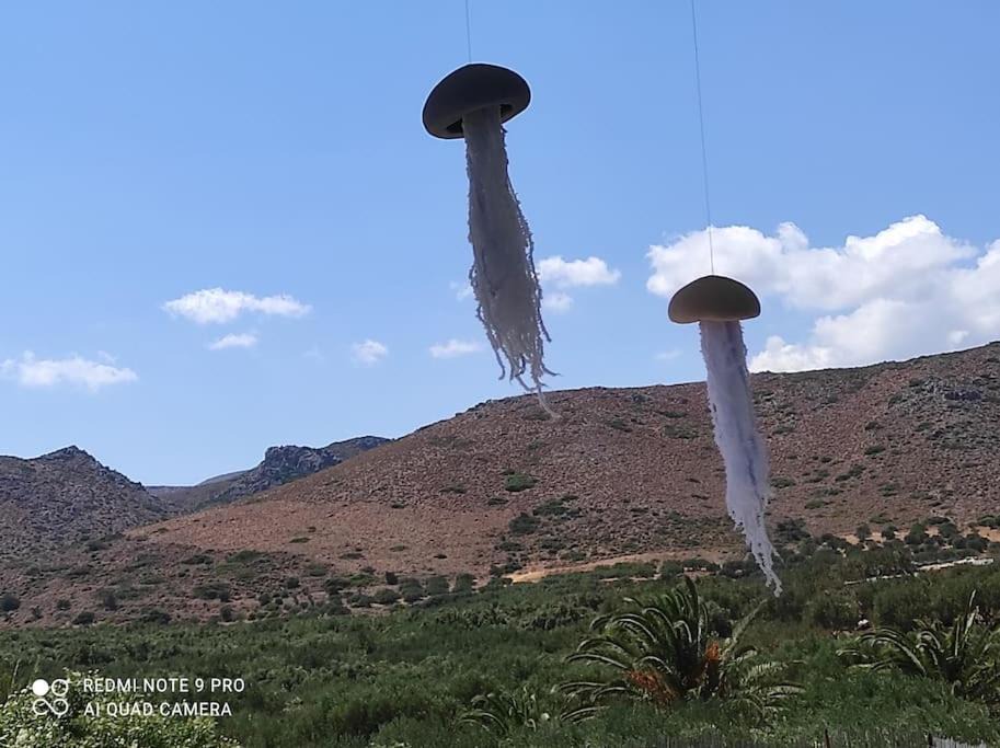 Photo of Outdoor in Vigla