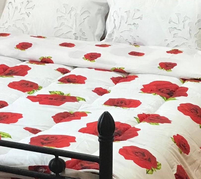 Photo of Bedroom in Megarchi