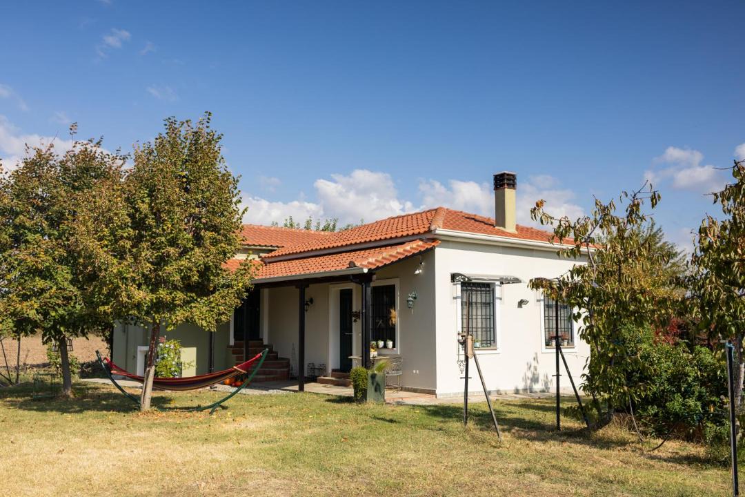 Photo of Others in Trikala
