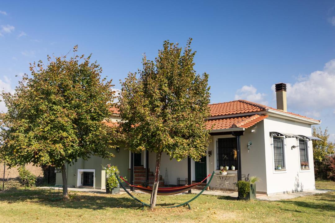 Photo of Others in Trikala