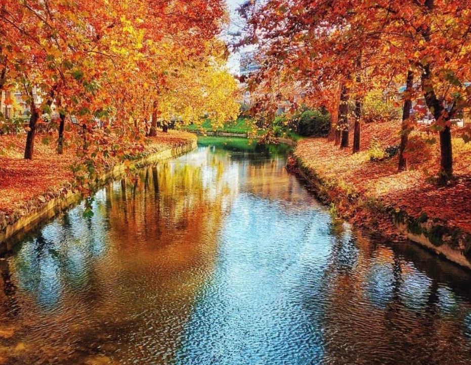 Photo of Others in Trikala