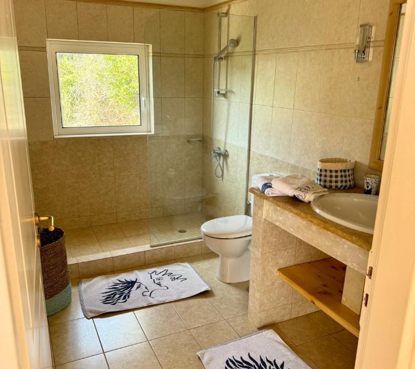 Photo of Bathroom in Mikros Gialos
