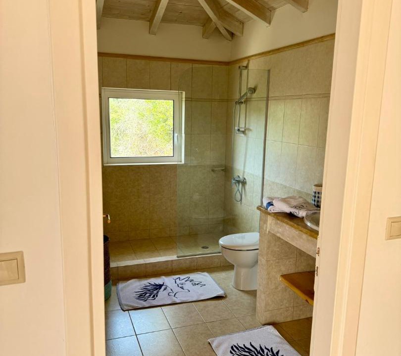 Photo of Bathroom in Mikros Gialos