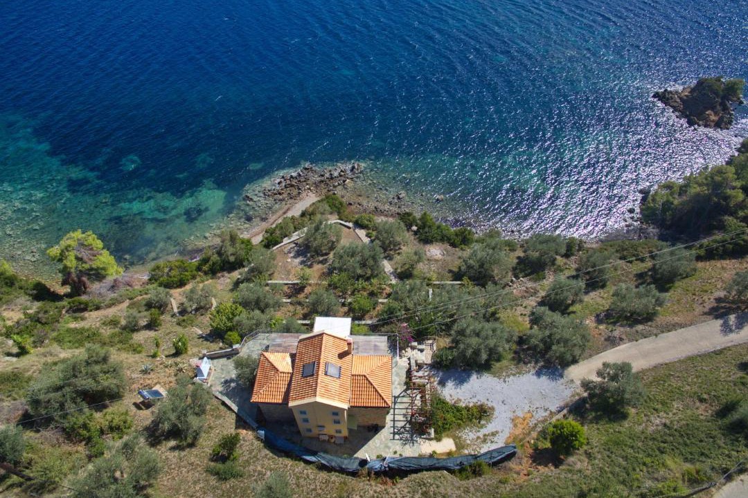 Photo of Others in Nimfea