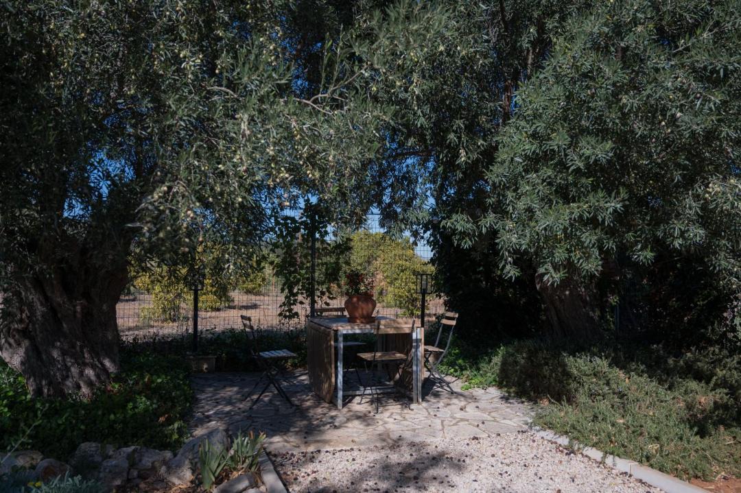 Photo of Others in Lerna