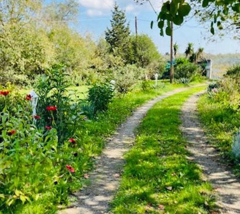 Photo of Outdoor in Kefalovriso