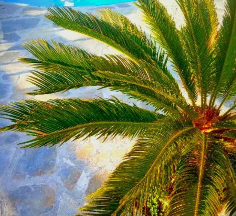 Photo of Others in Milatos Beach