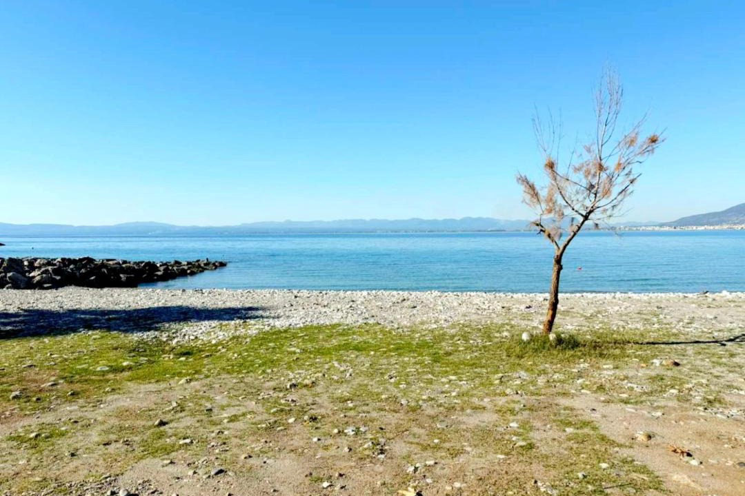Photo of Others in Mikri Mantineia