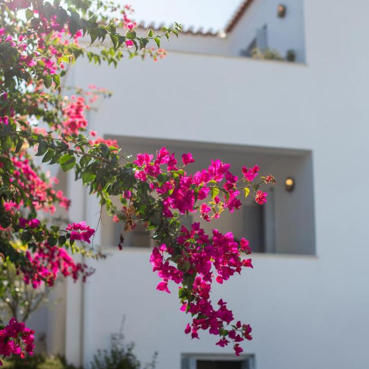 Photo of Others in Spetses